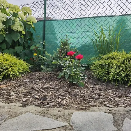 Pod Oblazowa アパート *